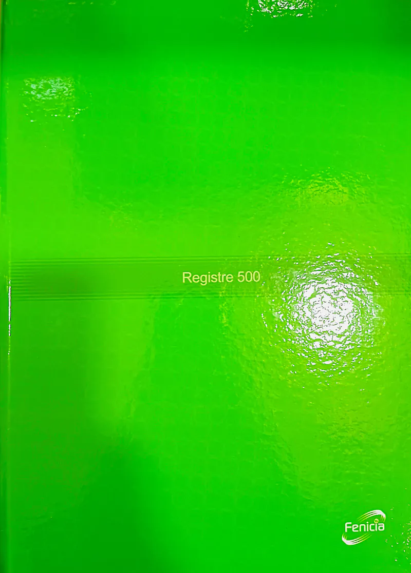 REGISTRES 5/5 500 PAGES A4 FINISIA