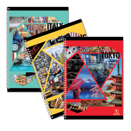 CAHIER TP 96 PAGES 21 X 29.7CM