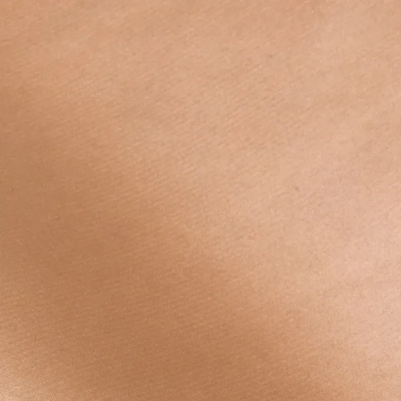 PAPIER CADEAU KRAFT COULEUR BRONZE - Vue 3