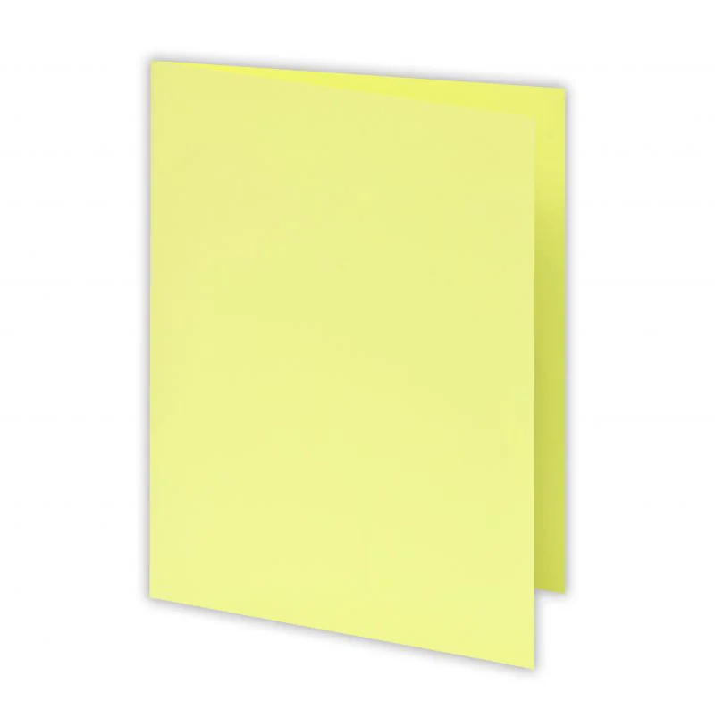 CHEMISE BRISTOL COULEURS JAUNE PASTEL 170G PAQUET DE 100 - Vue 2