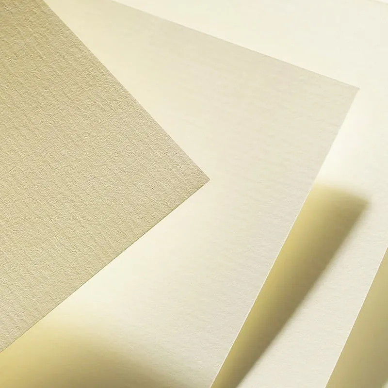 RAME PAGE DE GARDE VERGÉS A4 230G 100F CRÈME - Vue 2