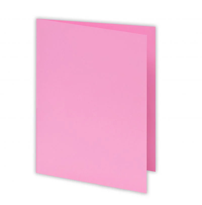 CHEMISE BRISTOL COULEURS ROSE PASTEL 170G PAQUET DE 100 - Vue 2