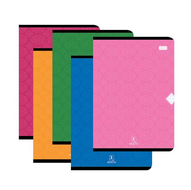 CAHIER PIQUE SEYES A4 96 PAGES - Vue 2