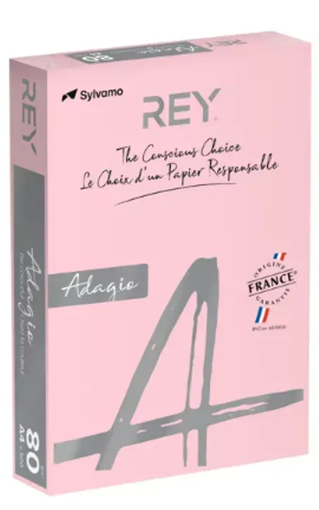 PAPIER COULEUR ROSE PASTEL 80GR A4 500F REY