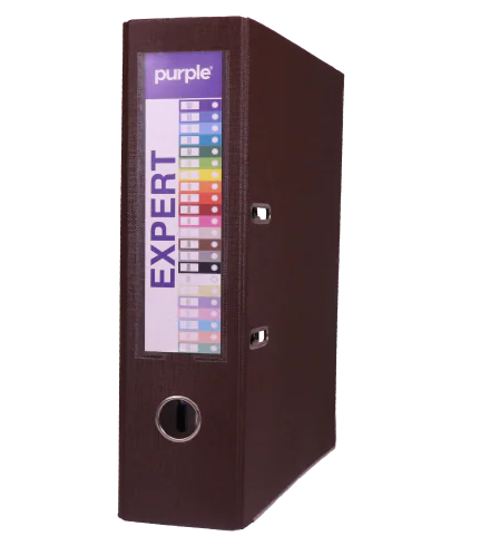 CLASSEUR À LEVIER DOS 80MM EXPERT MARRON