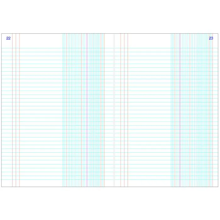REGISTRE COMPTABLE 200P RIBAT