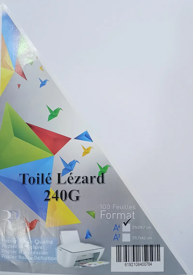 RAME PAGE DE GARDE TOILE LEZARD A4 240G 100F BLANC