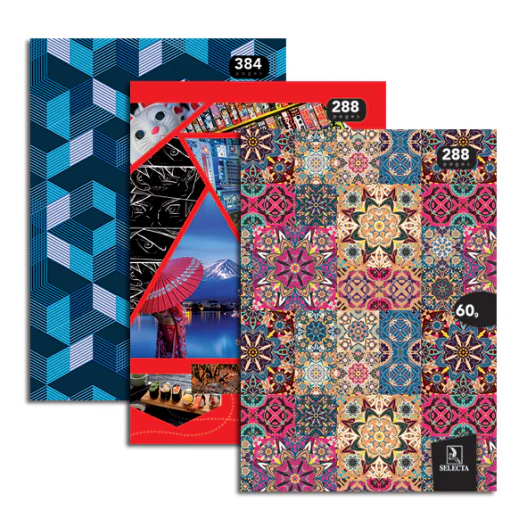 REGISTRE SEYES SOUPLE 200 PAGES A4