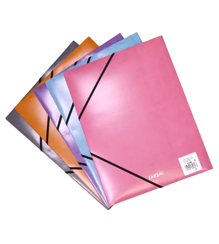 CHEMISE 3 RABATS À ÉLASTIQUE EN CARTON PURPLE - Vue 3