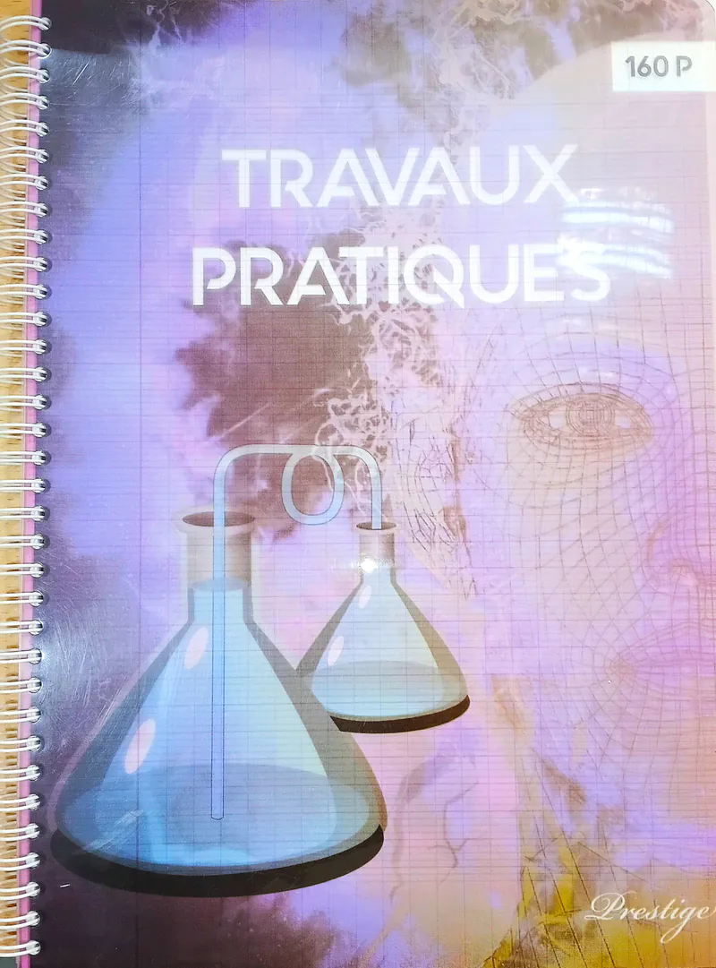 CAHIER TP 160 PAGES COUV PP 21 X 29.7CM