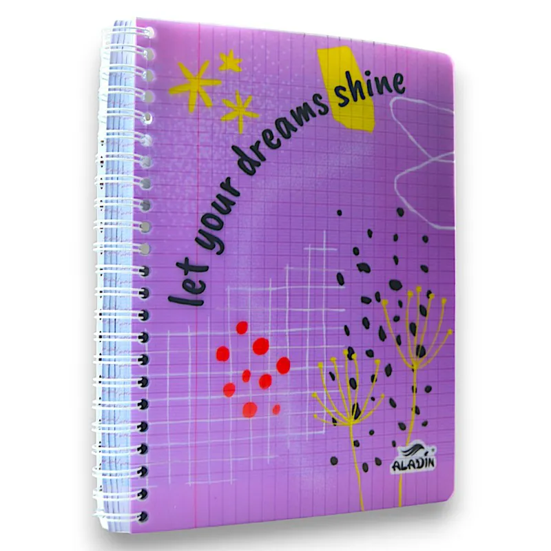 CAHIER SPIRALE WIREO GM 400P ALADIN