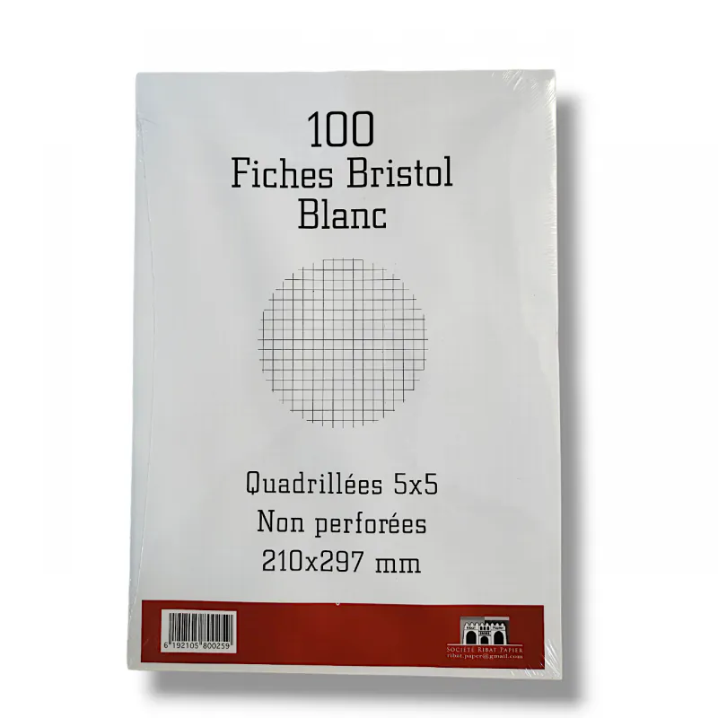 FICHE BRISTOL A4 BLANC GM