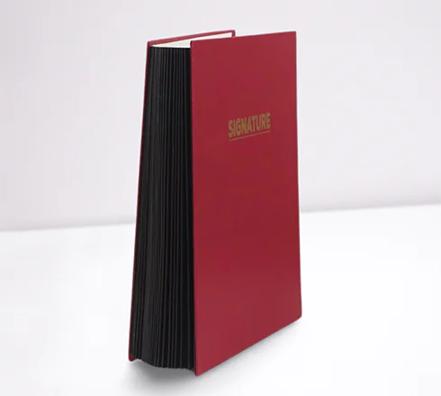 PARAPHEUR DE SIGNATURE 16V  LUXES PURPLE - Vue 5