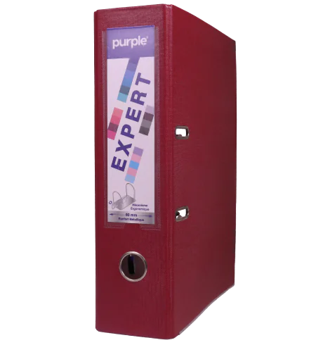 CLASSEUR À LEVIER DOS 80MM EXPERT BORDEAU