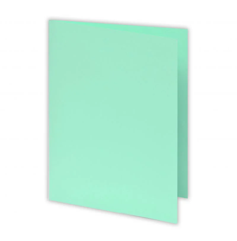 CHEMISE BRISTOL COULEURS VERT PASTEL 170G PAQUET DE 100 - Vue 2