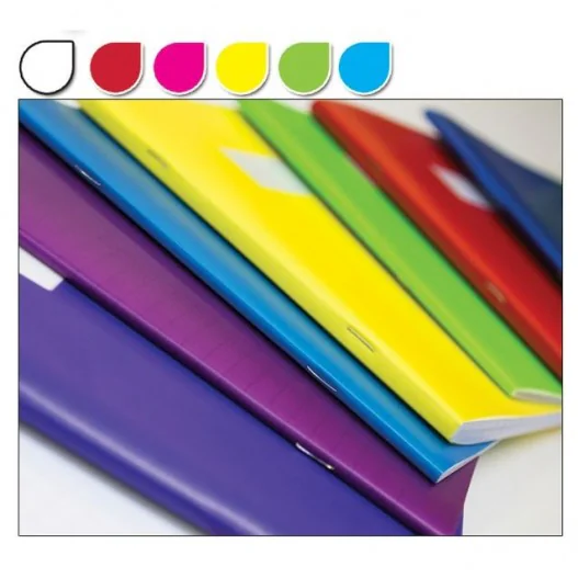 CAHIER PIQUE SEYES A4 96 PAGES COUV PP - Vue 2