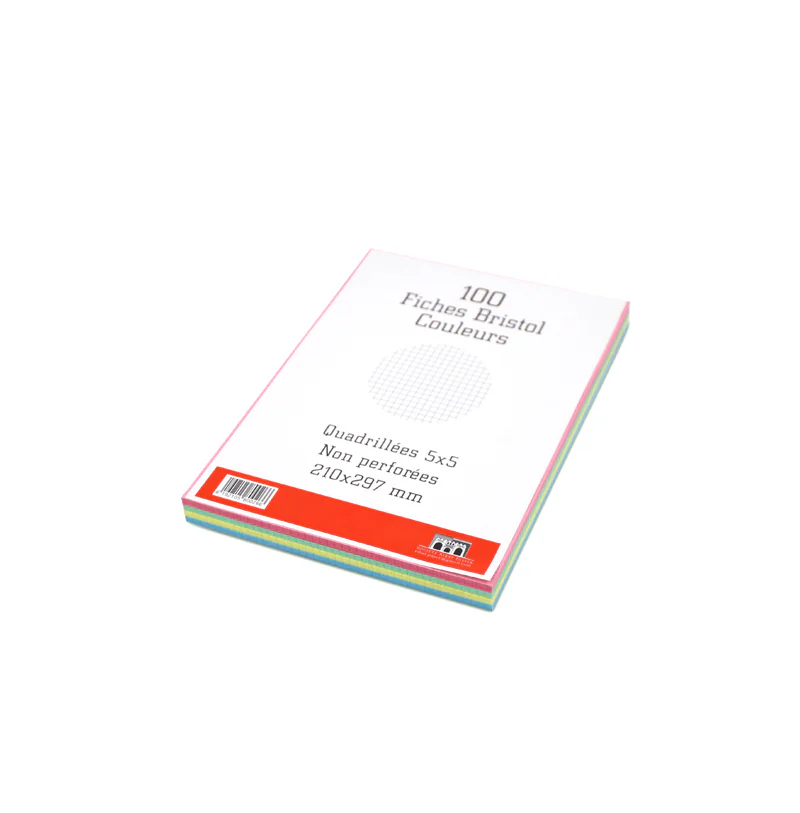 FICHE BRISTOL A4 COULEUR GRAND MODELE